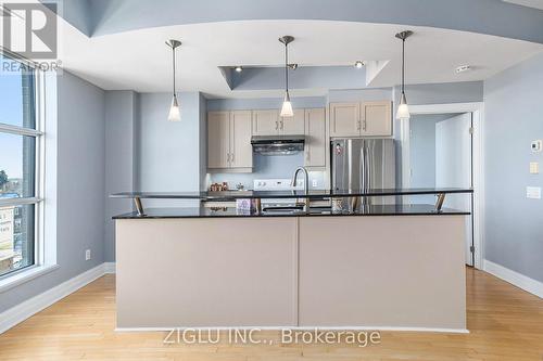 502 - 290 Powell Avenue, Ottawa, ON - Indoor Photo Showing Kitchen With Upgraded Kitchen