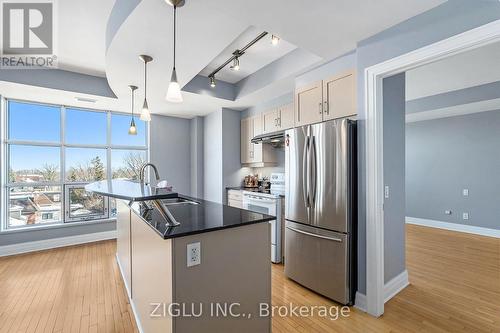 502 - 290 Powell Avenue, Ottawa, ON - Indoor Photo Showing Kitchen With Upgraded Kitchen