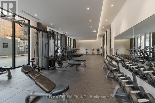 308 - 9 Tecumseth Street, Toronto, ON - Indoor Photo Showing Gym Room