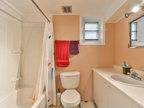 Salle de bains - 229  - 229B Av. Bélisle, Sainte-Agathe-Des-Monts, QC - Indoor Photo Showing Bathroom