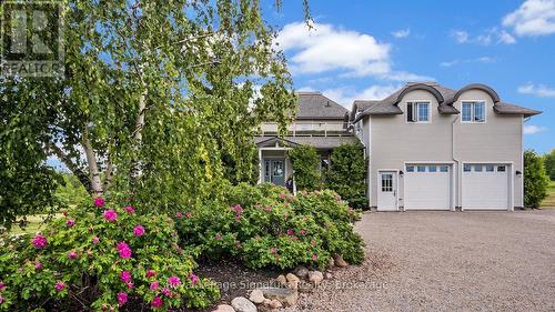 807035 25Th Side Road, Grey Highlands, ON - Outdoor