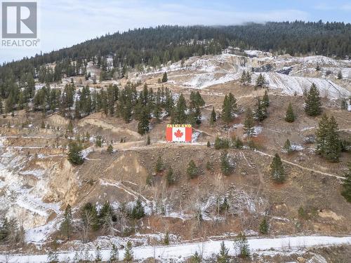 Falkland Flag! - 5768 Highway 97 N Highway, Falkland, BC 