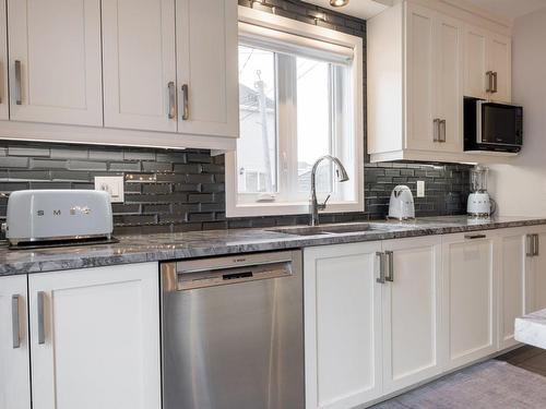 Cuisine - 10178 Rue Panis-Charles, Montréal (Rivière-Des-Prairies/Pointe-Aux-Trembles), QC - Indoor Photo Showing Kitchen With Double Sink