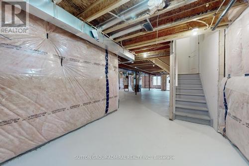 10 Meadow Vista Crescent, East Gwillimbury, ON - Indoor Photo Showing Basement