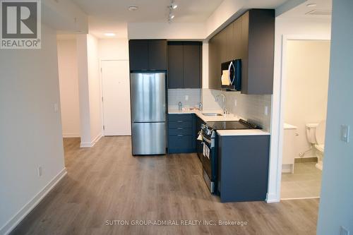 225 Malta Ave Avenue, Brampton, ON - Indoor Photo Showing Kitchen With Stainless Steel Kitchen