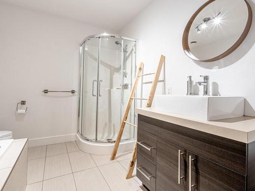 Bathroom - 1813 Rue Mancini, Sherbrooke (Brompton/Rock Forest/Saint-Élie/Deauville), QC - Indoor Photo Showing Bathroom