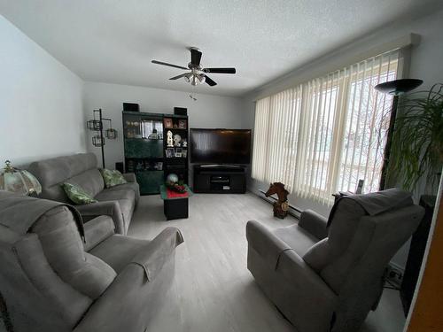 Living room - 392 Av. Bergeron, Taschereau, QC - Indoor Photo Showing Living Room