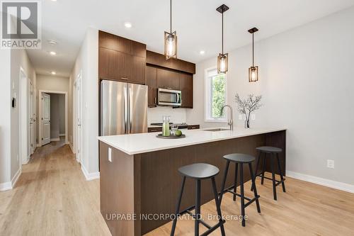 A - 974 Hooper Street, Ottawa, ON - Indoor Photo Showing Kitchen With Stainless Steel Kitchen With Upgraded Kitchen