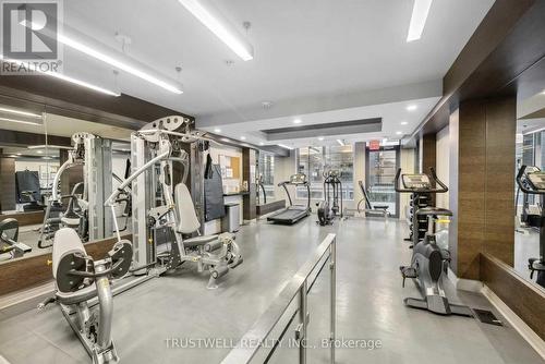 1002 - 59 Annie Craig Drive, Toronto, ON - Indoor Photo Showing Gym Room