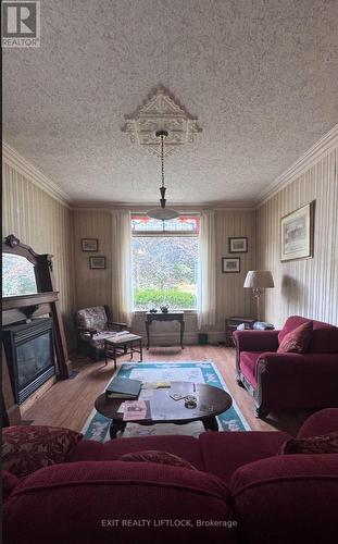 4217 Highway 7, Asphodel-Norwood (Norwood), ON - Indoor Photo Showing Living Room With Fireplace