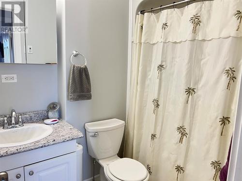 5 Hydro Station Lane, Springdale, NL - Indoor Photo Showing Bathroom