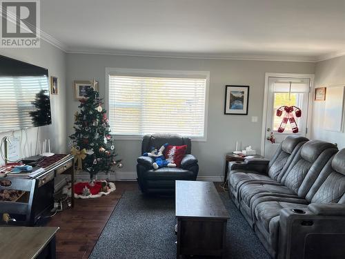 5 Hydro Station Lane, Springdale, NL - Indoor Photo Showing Living Room