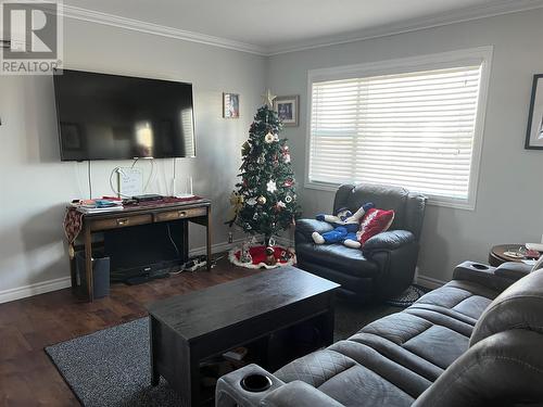 5 Hydro Station Lane, Springdale, NL - Indoor Photo Showing Living Room