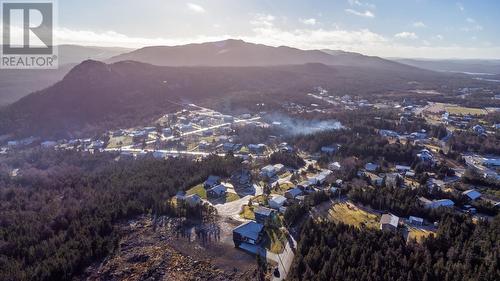 37 Kennedys Lane, Holyrood, NL - Outdoor With View