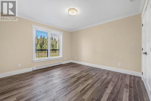 37 Kennedys Lane, Holyrood, NL - Indoor Photo Showing Other Room