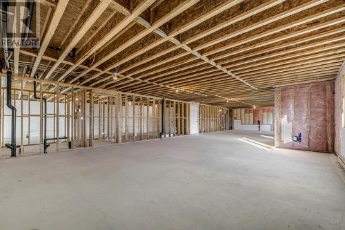 37 Kennedys Lane, Holyrood, NL - Indoor Photo Showing Basement