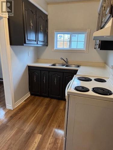 57 Commonwealth Avenue, Mount Pearl, NL - Indoor Photo Showing Kitchen With Double Sink