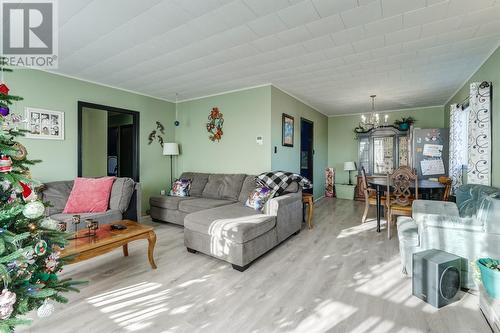 14 Recreation Road, Spaniards Bay, NL - Indoor Photo Showing Living Room