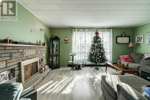 14 Recreation Road, Spaniards Bay, NL - Indoor Photo Showing Living Room With Fireplace