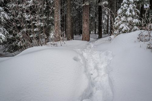 9877 Pinnacles Road, Vernon, BC - Outdoor