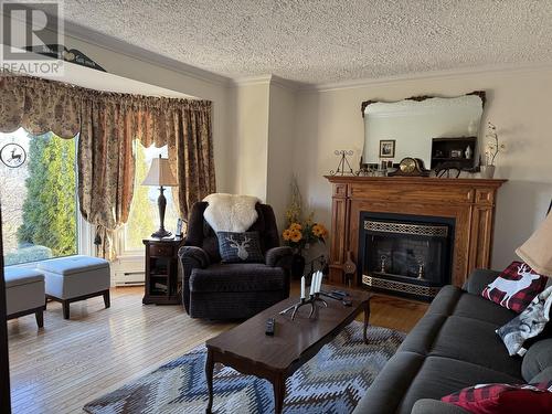 127 Jr Smallwood Boulevard, Gambo, NL - Indoor Photo Showing Living Room With Fireplace