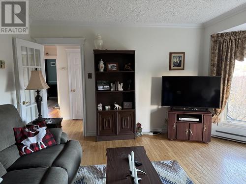 127 Jr Smallwood Boulevard, Gambo, NL - Indoor Photo Showing Living Room