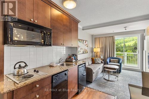 377 - 220 Gord Canning Drive, Blue Mountains (Blue Mountain Resort Area), ON - Indoor Photo Showing Kitchen