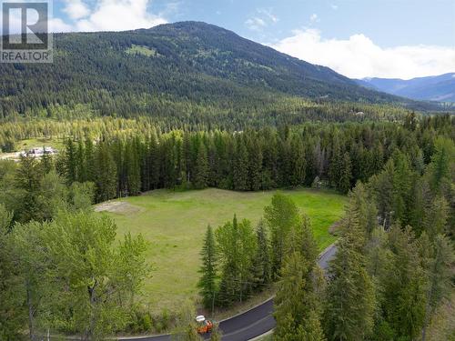 Open areas - 68 Specht Road, Cherryville, BC 