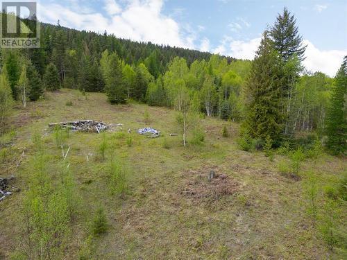 Cleared area - 68 Specht Road, Cherryville, BC 