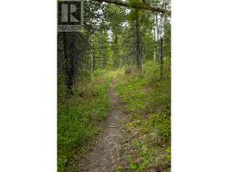 Trails - 