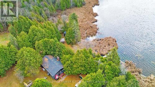 81 Shelter Bay Street, Kawartha Lakes, ON - Outdoor With View