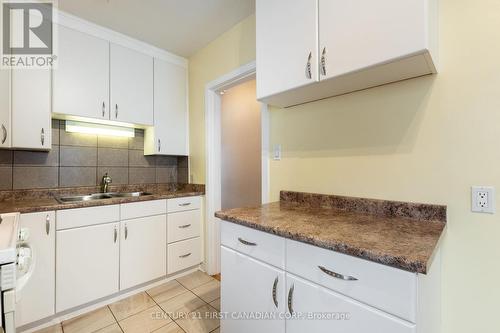 20 Apeldoorn Crescent, London, ON - Indoor Photo Showing Kitchen With Double Sink