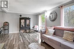 Living room featuring a wealth of natural light, hardwood / wood-style floors, crown molding, and a textured ceiling - 