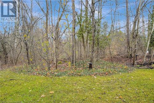 View of yard - 220 Salisbury Avenue Unit# 6, Cambridge, ON - Outdoor With View