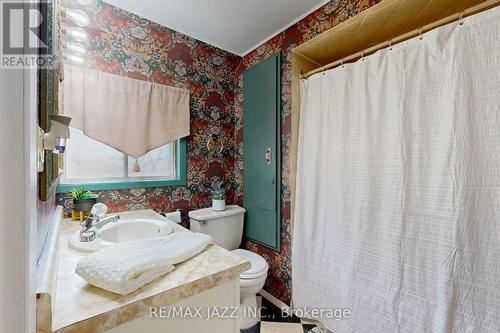 243 Brant Avenue, Brantford, ON - Indoor Photo Showing Bathroom