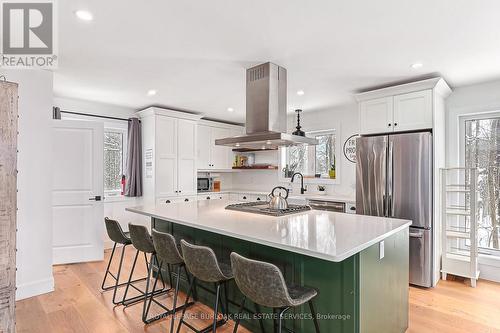 234 Canrobert Street, Grey Highlands, ON - Indoor Photo Showing Kitchen With Upgraded Kitchen