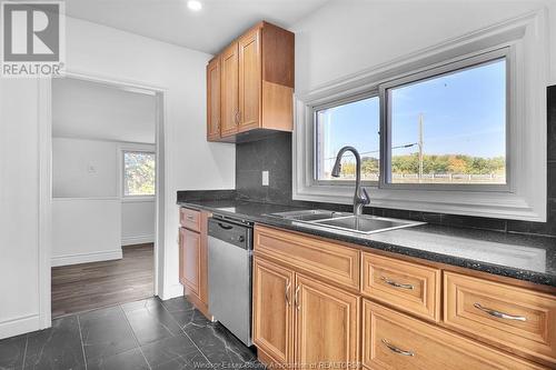 205 East Pike Creek Road, Lakeshore, ON - Indoor Photo Showing Kitchen With Double Sink