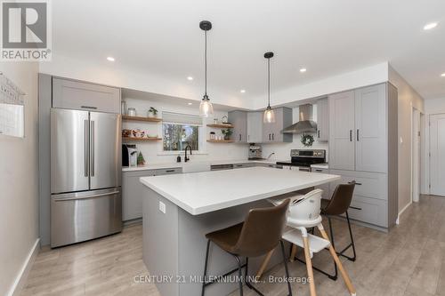 110 Zina Street, Orangeville, ON - Indoor Photo Showing Kitchen With Stainless Steel Kitchen With Upgraded Kitchen