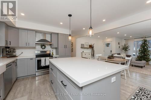 110 Zina Street, Orangeville, ON - Indoor Photo Showing Kitchen With Upgraded Kitchen