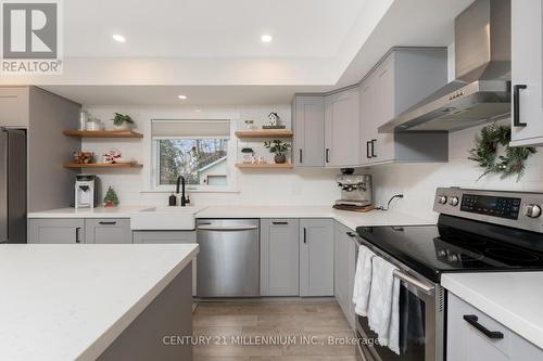 110 Zina Street, Orangeville, ON - Indoor Photo Showing Kitchen With Stainless Steel Kitchen