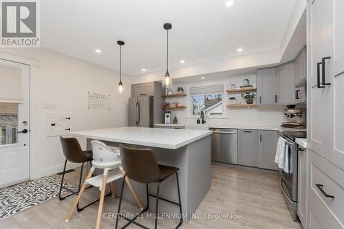 110 Zina Street, Orangeville, ON - Indoor Photo Showing Kitchen With Stainless Steel Kitchen With Upgraded Kitchen