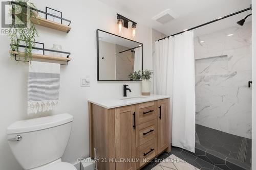 110 Zina Street, Orangeville, ON - Indoor Photo Showing Bathroom