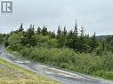 164-174 Forest Road, Carbonear, NL 