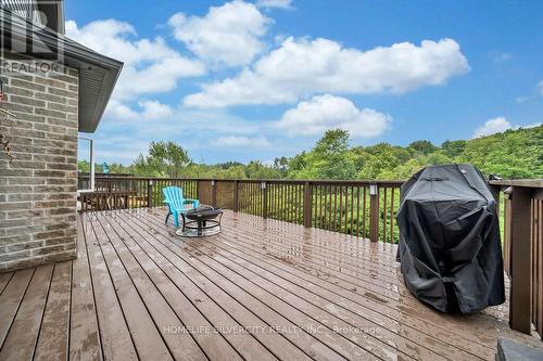 425 Woodbine Avenue, Kitchener, ON - Outdoor With Deck Patio Veranda