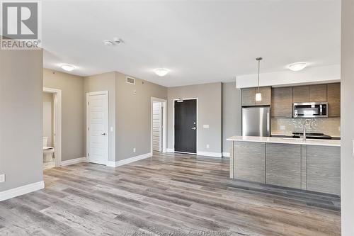 716 Brownstone Unit# 208, Tecumseh, ON - Indoor Photo Showing Kitchen