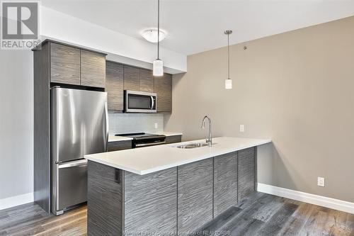 716 Brownstone Unit# 208, Tecumseh, ON - Indoor Photo Showing Kitchen With Stainless Steel Kitchen With Double Sink With Upgraded Kitchen