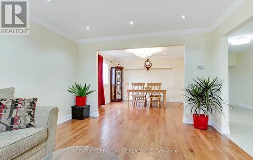 69 Blacktoft Drive, Toronto, ON - Indoor Photo Showing Living Room