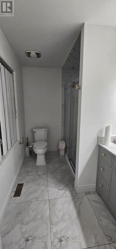 Main - 13 Dells Crescent, Brampton, ON - Indoor Photo Showing Bathroom