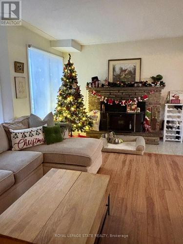 4195 John Street, Lincoln, ON - Indoor Photo Showing Living Room With Fireplace