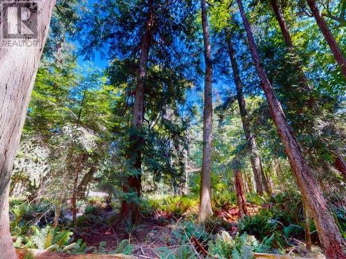 1394 Vancouver Blvd, Savary Island, BC 